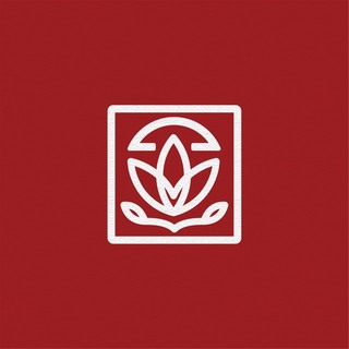 Nấm Liên Hoa 🪷