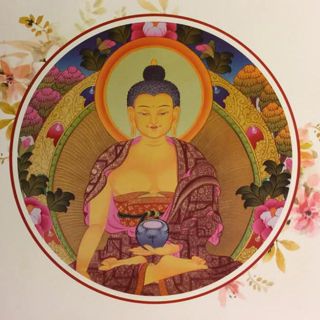 KHOẺ ĐẸP TỪ THIÊN NHIÊN