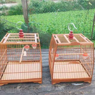 chienle08101995