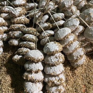 Vườn Nhà Út Ls