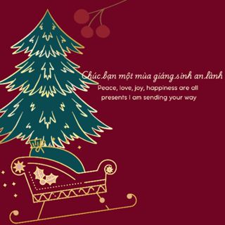 CÂY THÔNG NOEL HCM