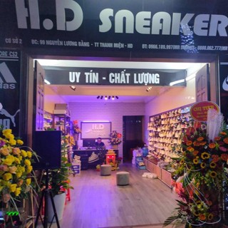 SHOP GIÀY H.D SNEAKER 34