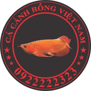 CÁ RỒNG VIỆT NAM