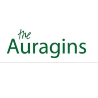 The Auragins Store