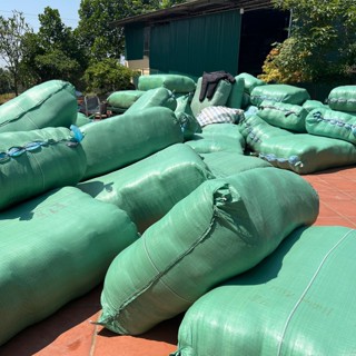 Tổng kho hương miu ba vì 2