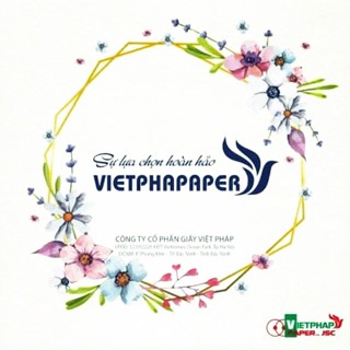 CTY CP GIẤY VIỆT PHÁP 