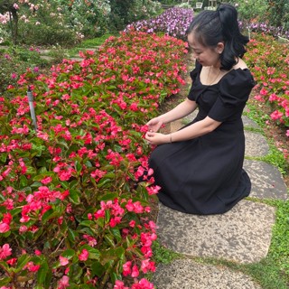 Kho Hàng AN NHIEN 739