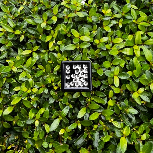 SHOP ĐÁ ĐÍNH RĂNG HCM 03