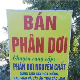 Phân Dơi Store