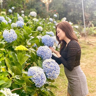 Tạp Hoá Nhà Ớt No7