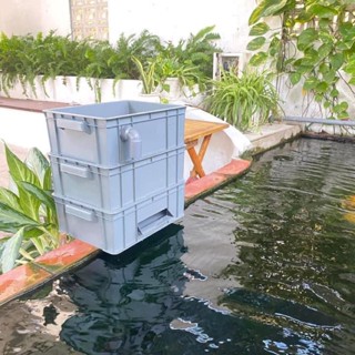 Khang lọc hồ cá