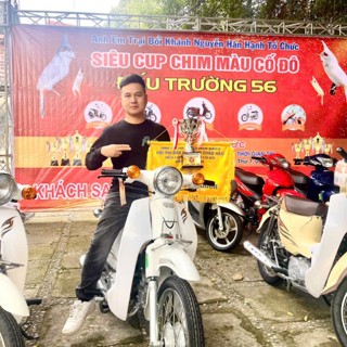 Phụ Kiện Chim Cảnh Tùng Panda