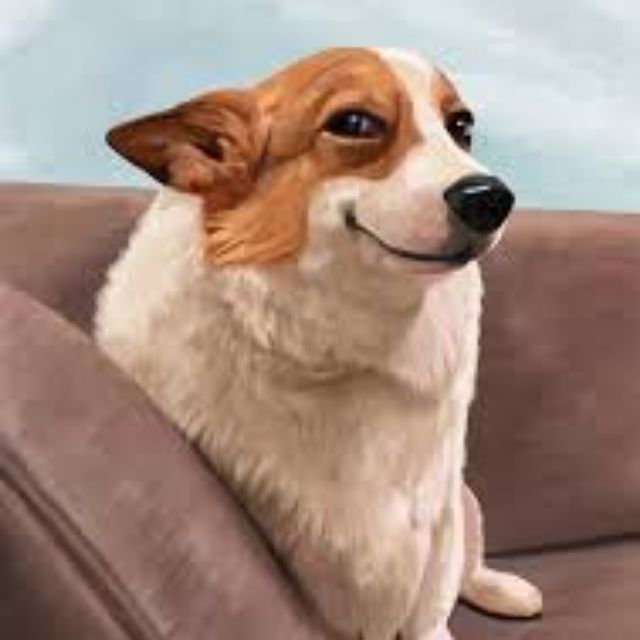 uusgfmpzp1