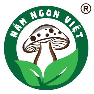 Phôi Nấm Bào Ngư