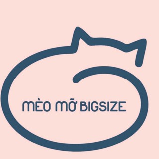 Mèo Mỡ Bigsize 22
