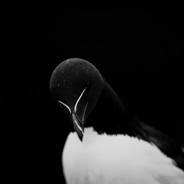 qunvnht777