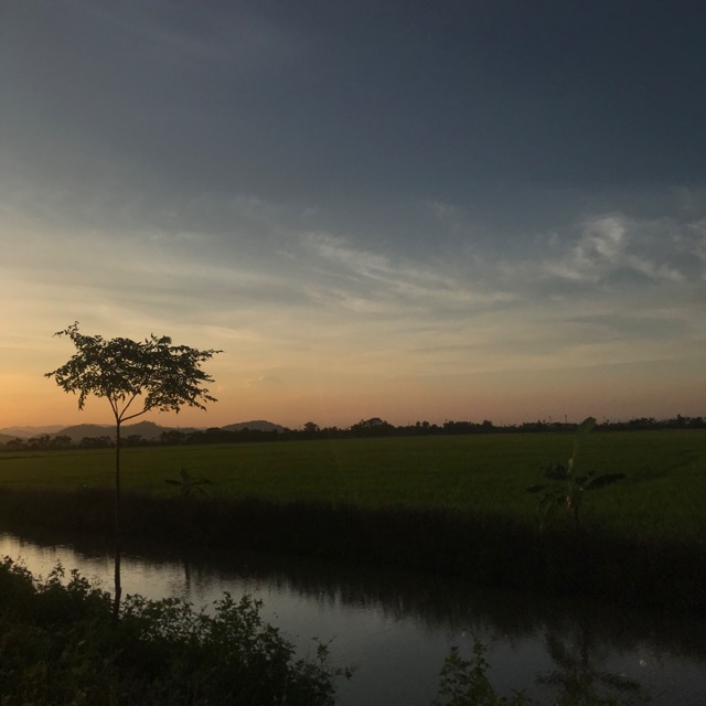 WELCOME TO MY DAIZY🌼