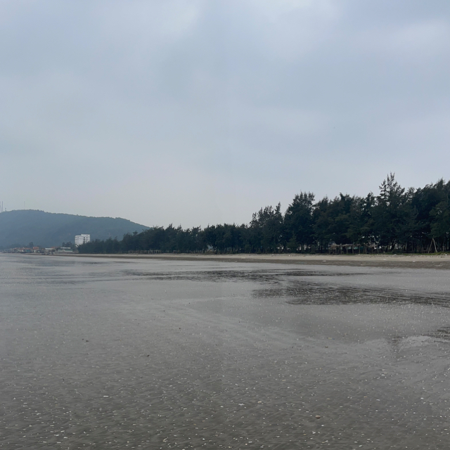 Đậu Official