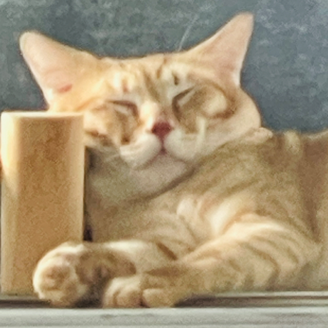 LockCatShop