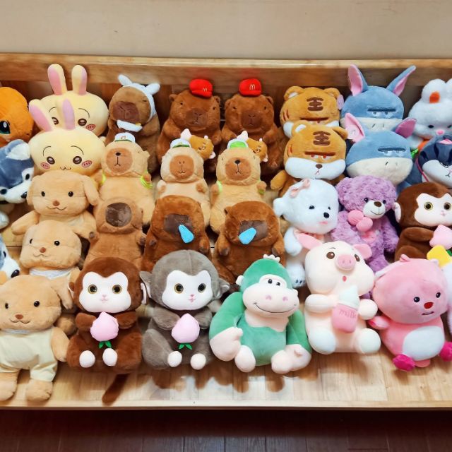 Tiệm gấu bông Miju