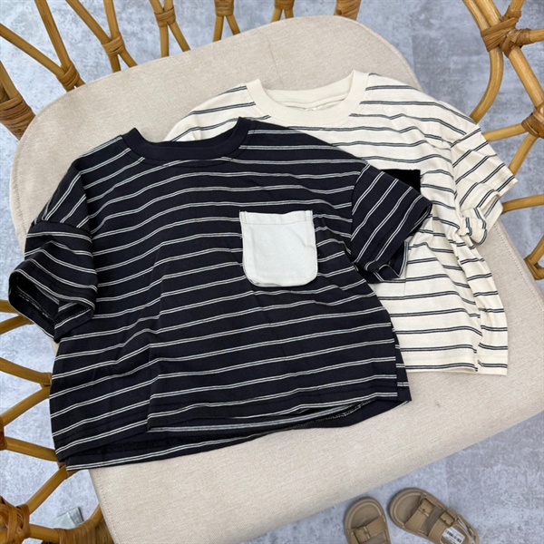 H25/Phông kẻ 06606