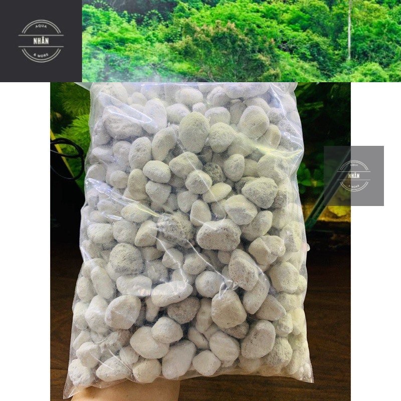 (SH) 100g SEACHEM MATRIX (LẺ) - MATRIX POND Vật Liệu Lọc Số 1 Cho Bể Cá - Nhhân Aqua- Giao hàng siêu