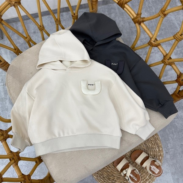 TĐ26/Hoodies NH6613