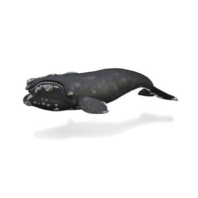 Đồ Chơi Mô Hình Động Vật Cá Voi Trơn COLLECTA 88740