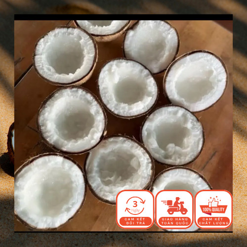 Dừa Sáp Loai 1 ( 3-4 nguoi an). Trái Từ 1kg-1.2kg/Trái