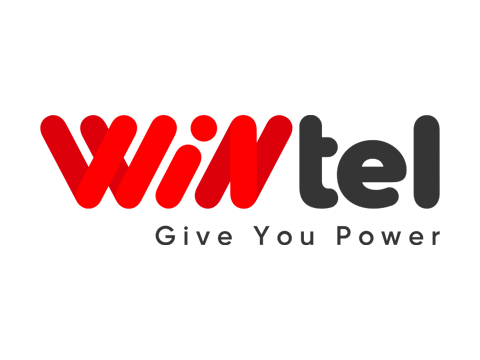 Wintel Flagship Store Logo